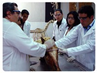 /album/fotogaleria/veterinaria2-jpg/